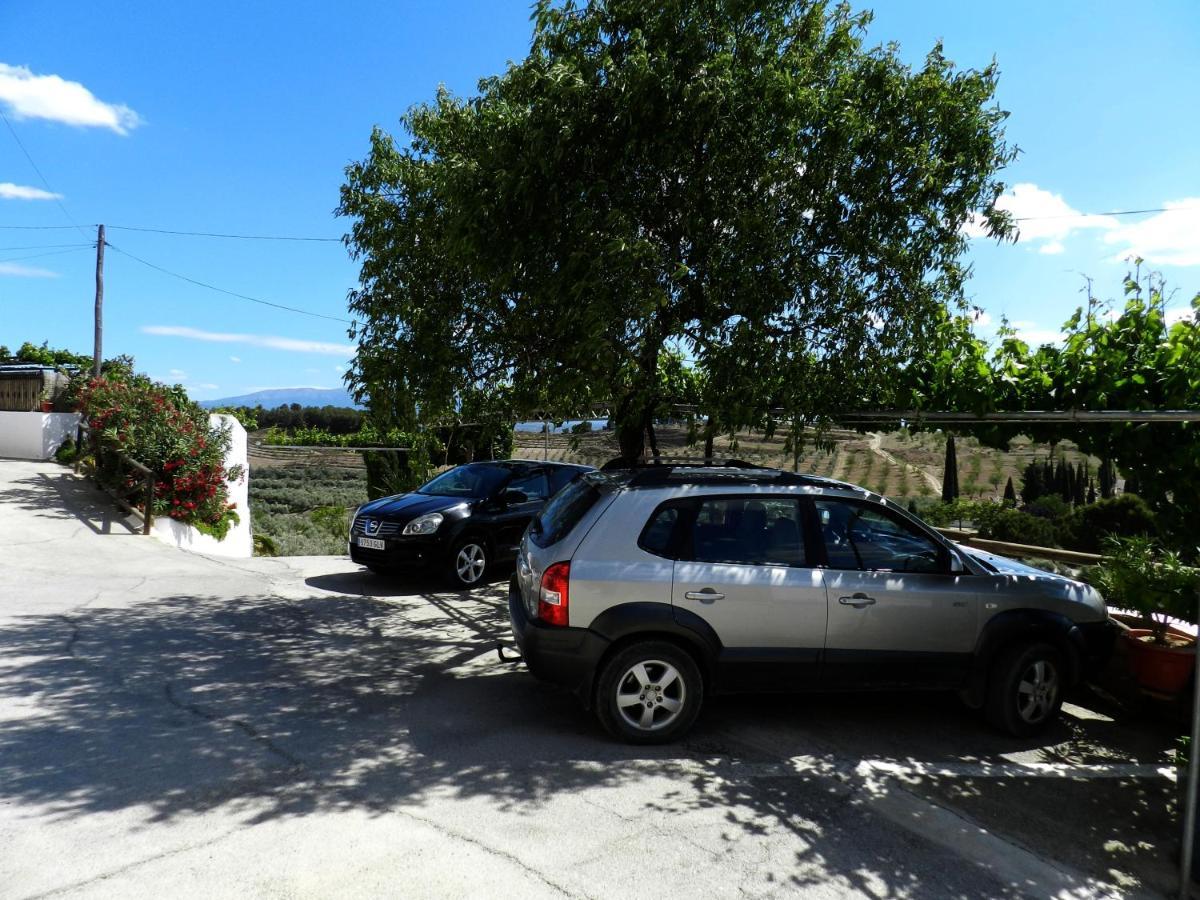 Cuevas del CampoCasa Triana公寓 外观 照片